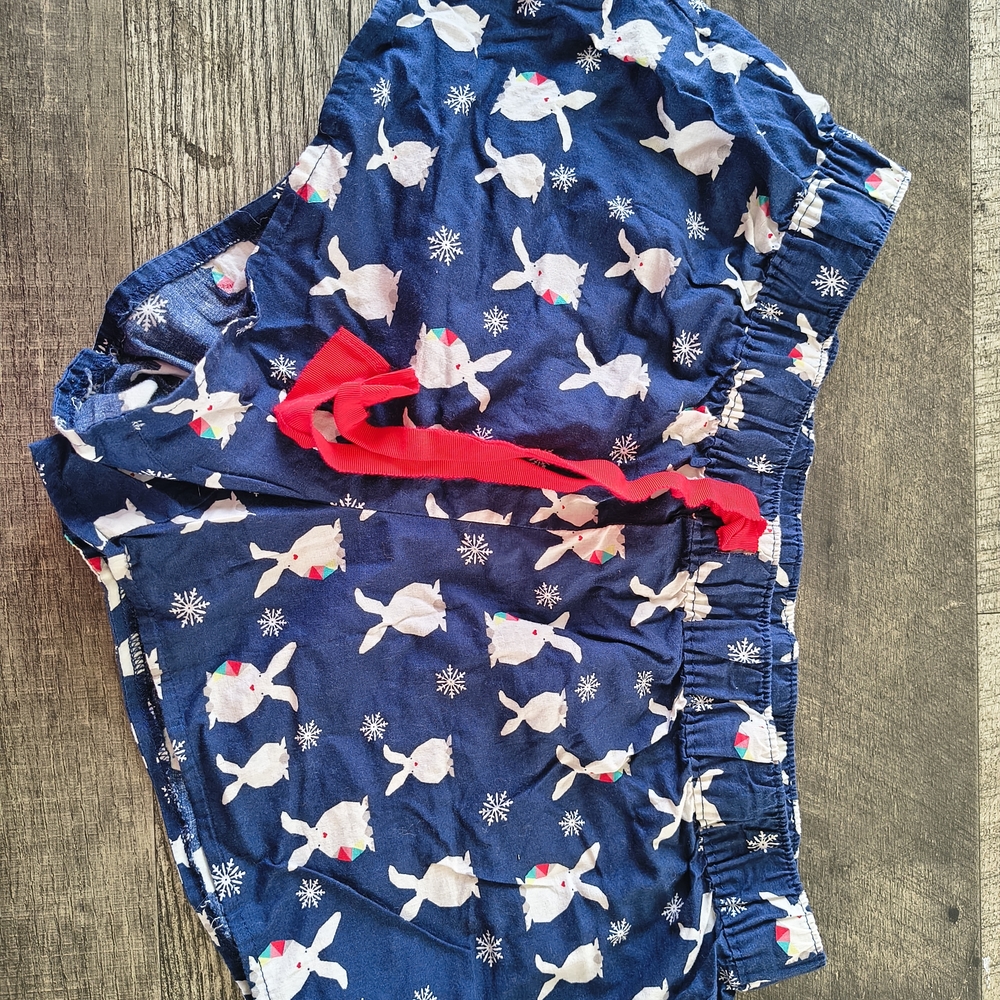 Aerie Navy Pajama Bottoms with Snow Bunny Print
